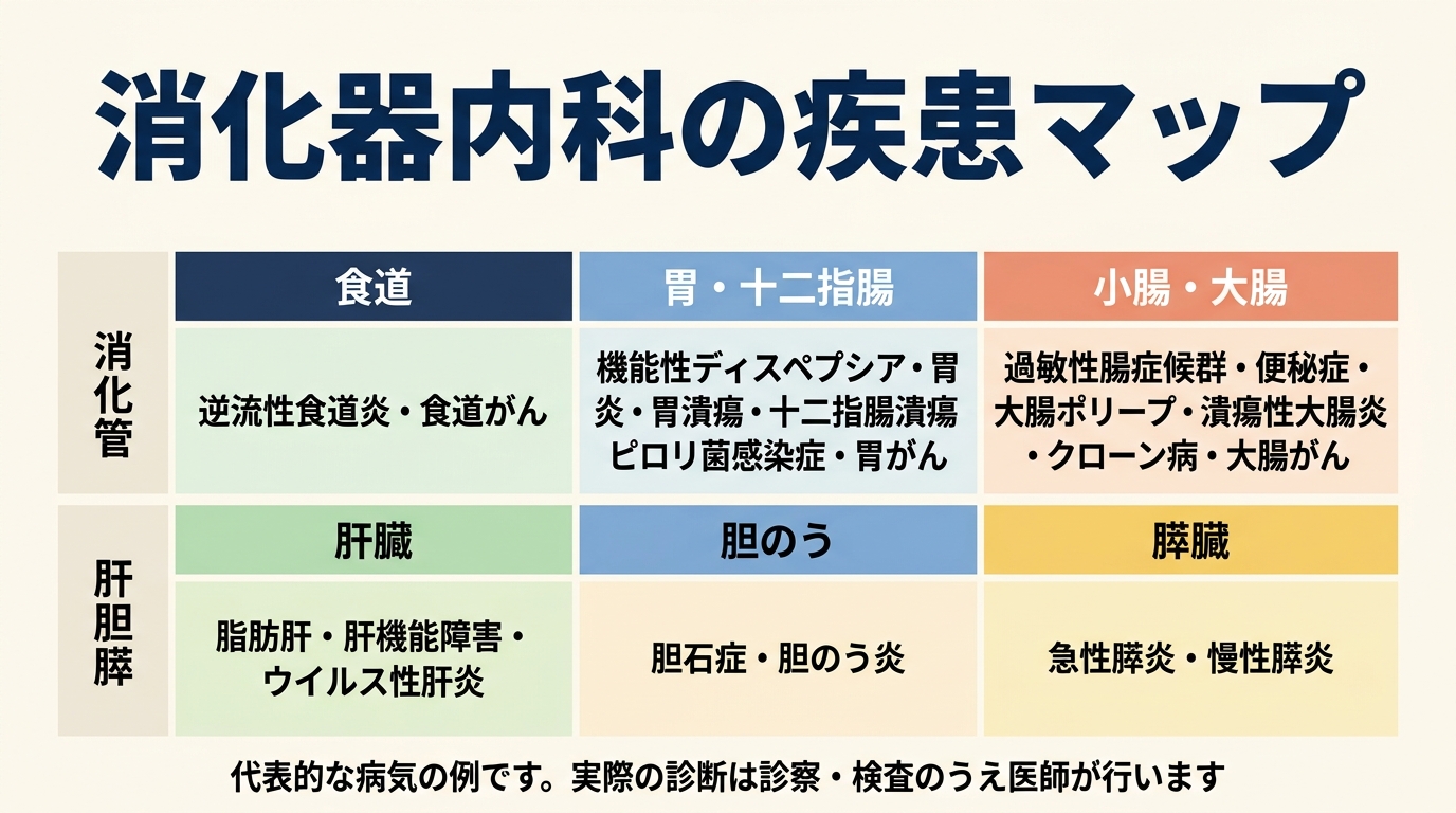 消化器内科が扱う病気の全体像
